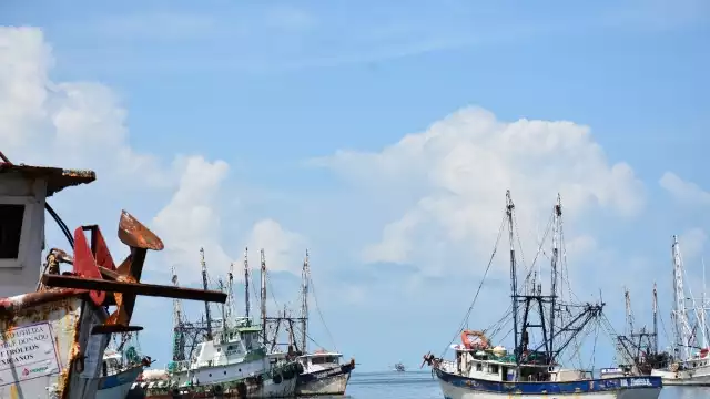 La pesca de camarón es una de las actividades principales en esta rama del empleo