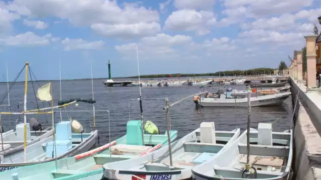 En el combate contra la pesca furtiva en el Litorial Oriente de Yucatán participa personal uniformado de la Comisión Nacional de Acuacultura y Pesca