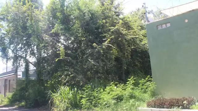 Foto: Moisés Omar Soto Suárez