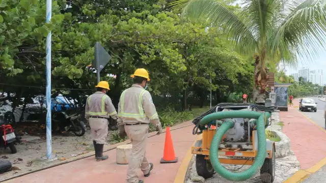 La cuadrilla de trabajadores de la CFE realizó trabajos de mantenimiento en la red eléctrica de la Zona Hotelera de Cancún