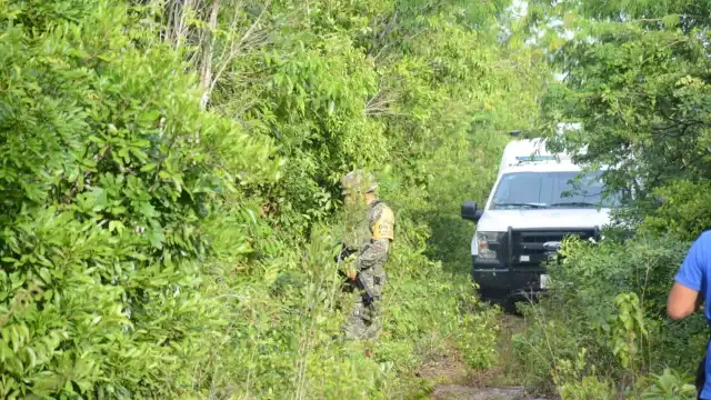 Este año, la delegación Alfredo V. Bonfil se ha visto envuelta en hechos delictivos, entre ellos, asesinatos a balazos