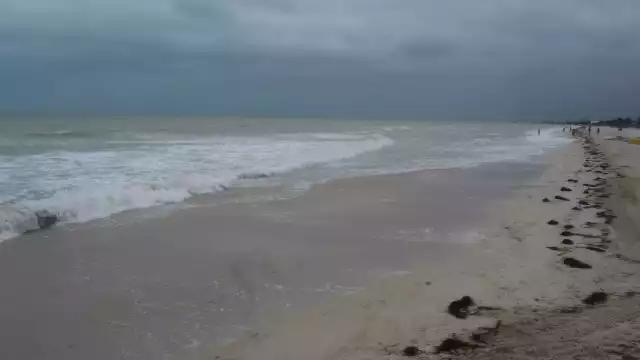 Las costas de Yucatán tienen este fenómeno anualmente