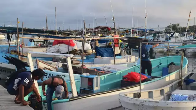 “Es muy complicado vivir de la pesca hoy en día”, aseguran los embarcadores de Progreso