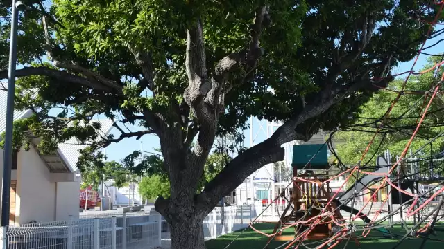 Pobladores señalan que la creencia en el fantasma se está perdiendo