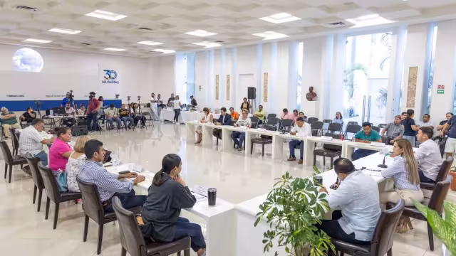 Para el Colegio de Arquitectos e Ingenieros y diversas cámaras, este decreto vulnera los derechos