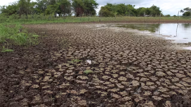 Foto: Eric Castillo.