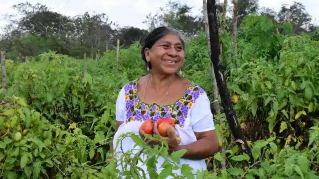 Los programas del Bienestar contribuyeron a que 1.9 millones de personas salieran de la pobreza rural