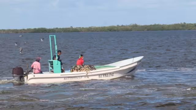 La descompresión en pescadores es un riesgo inminente en cada temporada de captura de langosta