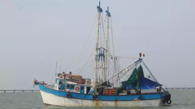 Apuntó que la deuda se incrementó porque los barcos camaroneros tenían que pagar 70 pesos diarios por permanecer atracados