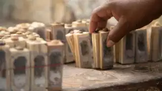 En lo que va del primer semestre de este año, se ha distribuido un total de 600 ejemplares en el estado