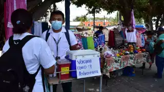 Son varios los módulos que se han colocado en la entidad, siendo oficinas estatales, federales y espacios públicos los puntos