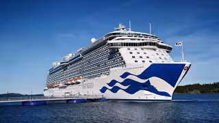 Desaparece tripulante del crucero Regal Princess tras caer al mar cerca de Cancún