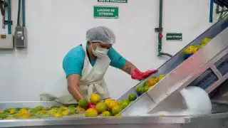 Aumento salarial 2026 complica a Pymes en Campeche