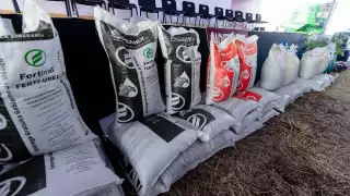 Plan Campeche busca reactivar economía con prioridad a empresas locales