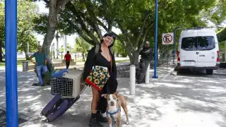 Aeropuerto de Cancún: Aerolíneas determinan las políticas para viajar con animales