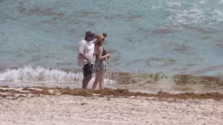 Sargazo en playas de Cancún desanima y ahuyenta a turistas locales e internacionales