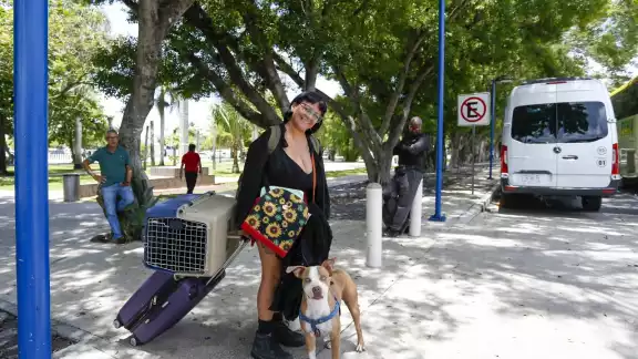 Las aerolíneas delimitan cuáles si son mascotas y cuáles son para apoyo emocional Las aerolíneas delimitan cuáles si son mascotas y cuáles son para apoyo emocional