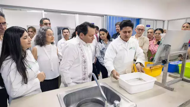 Yucatán, a la vanguardia en prevención y control de la transmisión de dengue, zika y chikungunya