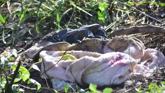 El cuerpo del bebé fue hallado en un parque