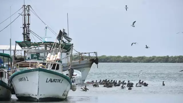 Se estima que cerca del 20 por ciento de los laboradores del sector son menores