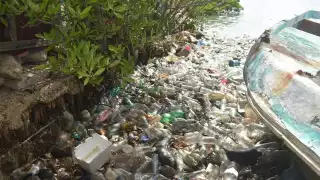 Hallan un tiradero de  basura en Yucalpetén; abarca al menos 20 metros cuadrados de la costa 