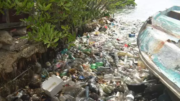 Ubicado entre un terreno privado y la Novena Zona Naval, un vertedero ha permanecido sin atención