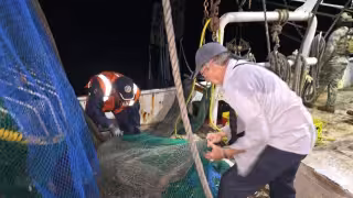 “Pescadores libres” Pescadores ribereños denuncian falta de vigilancia contra pesca ilegal