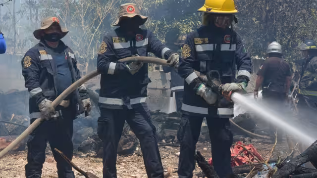 En la bodega se almacenaba leña y con 40 aves de corral