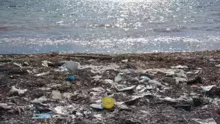 La basura sigue recalando en la arena blanca de Cancún