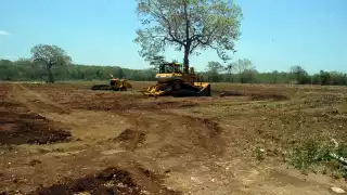 Los principales factores son el cambio de uso de suelo para actividades agropecuarias.