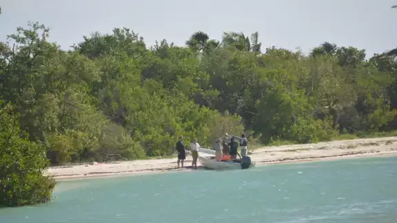 La Reserva de la Biosfera ha perdido en los últimos años una extensa franja costera por las diversas construcciones para albergar a cientos de turistas La Reserva de la Biosfera ha perdido en los últimos años una extensa franja costera por las diversas construcciones para albergar a cientos de turistas