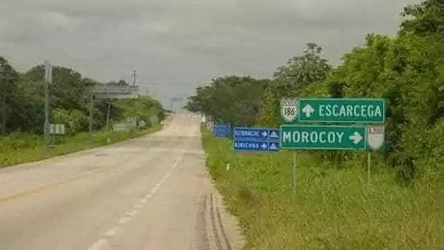 Habitantes de Morocoy buscaron tener la primera comunidad para producir y vender cannabis