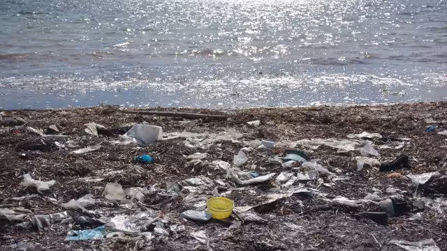 La basura sigue recalando en la arena blanca de Cancún