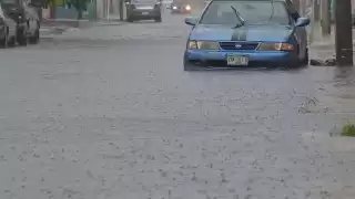 El fenómeno natural causó lluvias y derribo de árboles pero ningún deceso en la capital Yucateca Foto: Oscar Suaste
