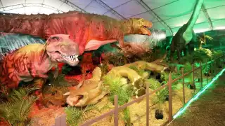 Es la primera vez que la Expo Dinosaurios llega a Tizimín