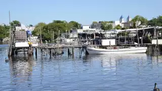 La información sobre la producción debe tener como fundamento proteger el hábitat.