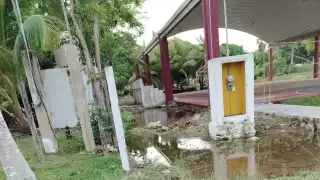 Habitantes de Laguna Guerrero piden atender terrenos baldíos