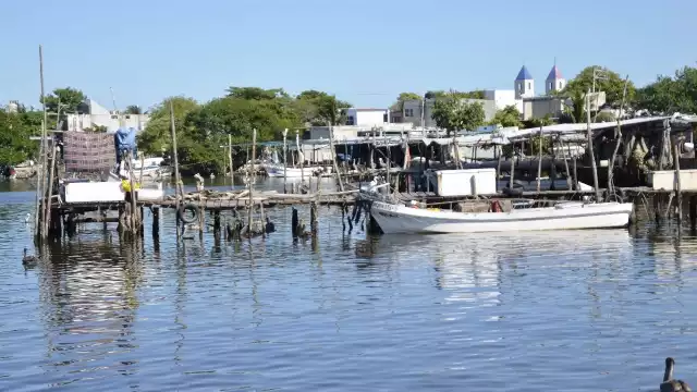 La información sobre la producción debe tener como fundamento proteger el hábitat.
