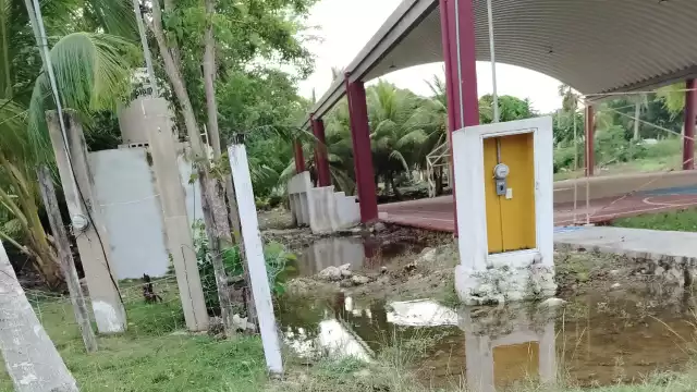 Tras las lluvias, los terrenos se vuelven grandes concentraciones de mosquitos