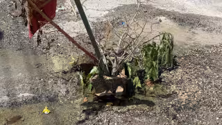 “Se ha reportado pero no hacen caso”: reclaman fuga de agua en Champotón