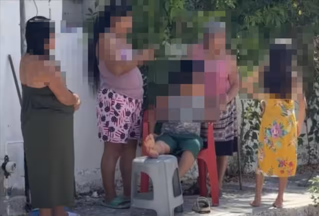Perro muerde la pierna de un niño de 9 años en Playa del Carmen