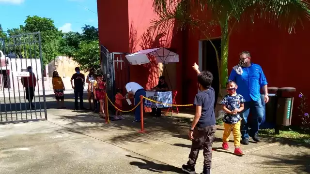 Se desconocen las causas el ataque de abejas