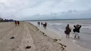 Se registra gran afluencia de personas en el puerto de Progreso