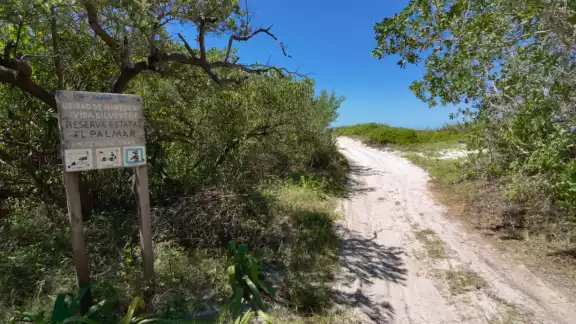 Ambos proyectos afectan la costa de Yucatán