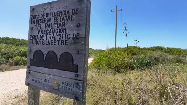Varios parámetros de la medición de una organización académica muestran que en la zona donde está el complejo inmobiliario hay deterioro ecológico