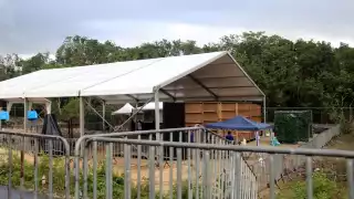 Hasta el momento la Guardia Nacional o la Policía de Quintana Roo no han anunciado sobre el cierre de esta vialidad, la cual conecta la Carretera 307