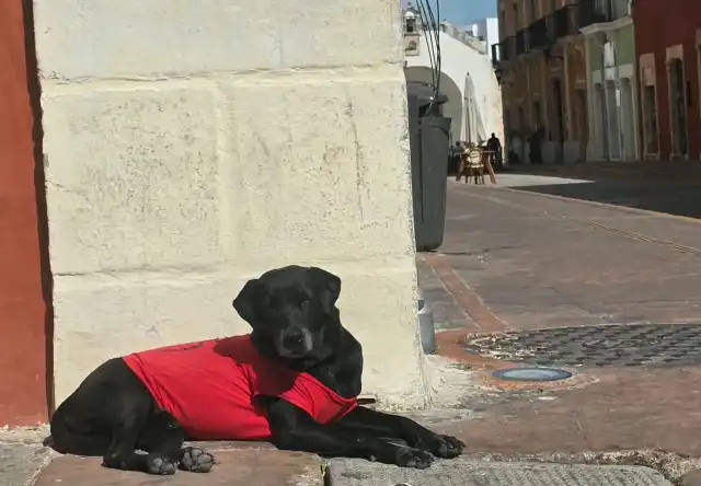 La masa de aire frío seguirá dominando en la región.
