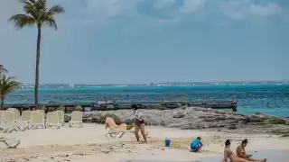 Cancún cuenta con varios transportes públicos para movilizarse