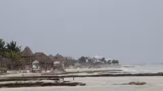 Reanudan búsqueda de turista desaparecido tras caer de un kayak en Holbox