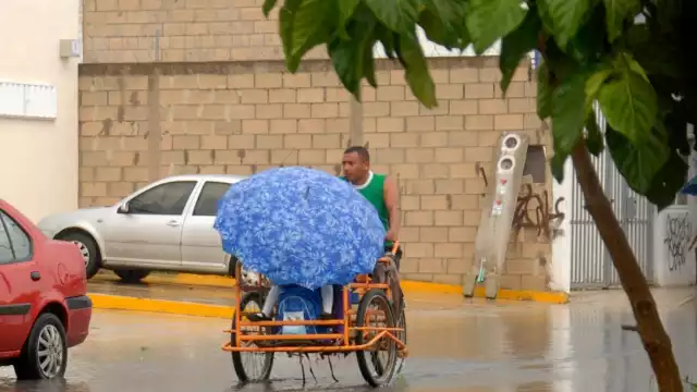 Foto: Mario Rodríguez